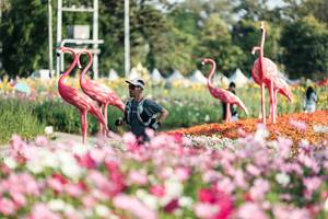 BIB: 
                            <button type="button" onclick="openModal(27344325)" class="btn btn-primary btn-sm float-right btn-popup" data-toggle="modal" data-target=".modal-high-quality">
                        <i class="fas fa-shopping-cart"></i> Add to Cart
                    </button>
                                            <button type="button" onclick="isThisMe(27344325, true)" class="btn btn-success btn-sm float-right btn-popup btn-isme hidden" data-toggle="tooltip" data-placement="bottom" title="นี่คือรูปของคุณใช่ไหม คลิกที่นี่เพื่อเอาเข้าอัลบั้ม">
                        <i class="fas fa-plus"></i> Add to album
                    </button>
                    <button type="button" onclick="isThisMe(27344325, false)" class="btn btn-warning btn-sm float-right btn-popup btn-isnotme hidden">
                        <i class="fas fa-ban"></i> Remove from album
                    </button>